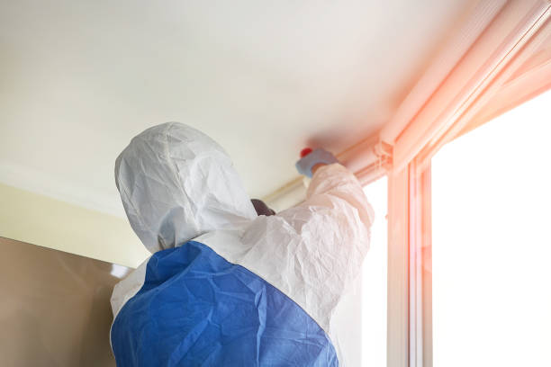 Why You Should Choose Our Mold Remediation Services in Georgetown, KY